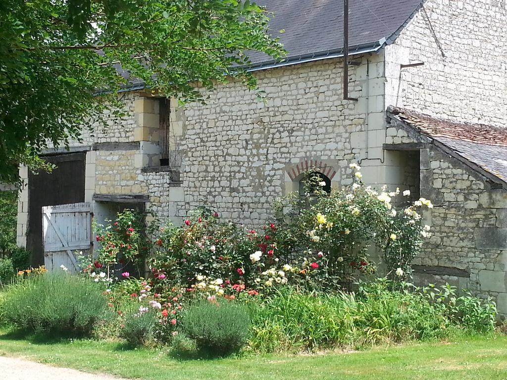 Bed and Breakfast La Cle Des Jardins Nouâtre Exteriér fotografie
